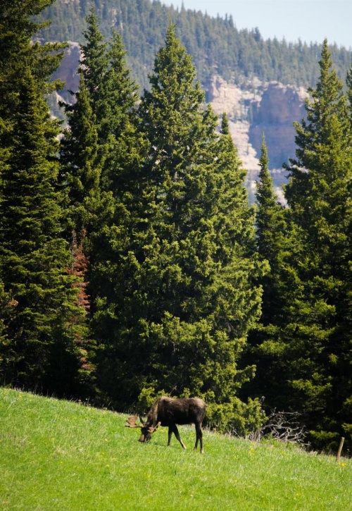 Wyoming High Country Lodge image 10