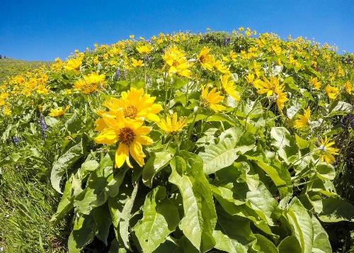 Wyoming High Country Lodge image 3