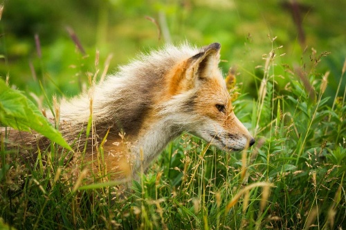 Wyoming High Country Lodge image 33